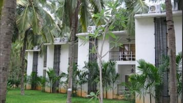 A row of white buildings with black shutters, surrounded by palm trees and greenery.