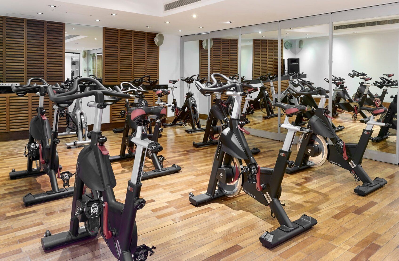 Uma academia com várias bicicletas ergométricas dispostas em fileiras.