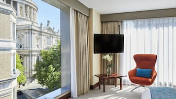 Executive King with View | View from room