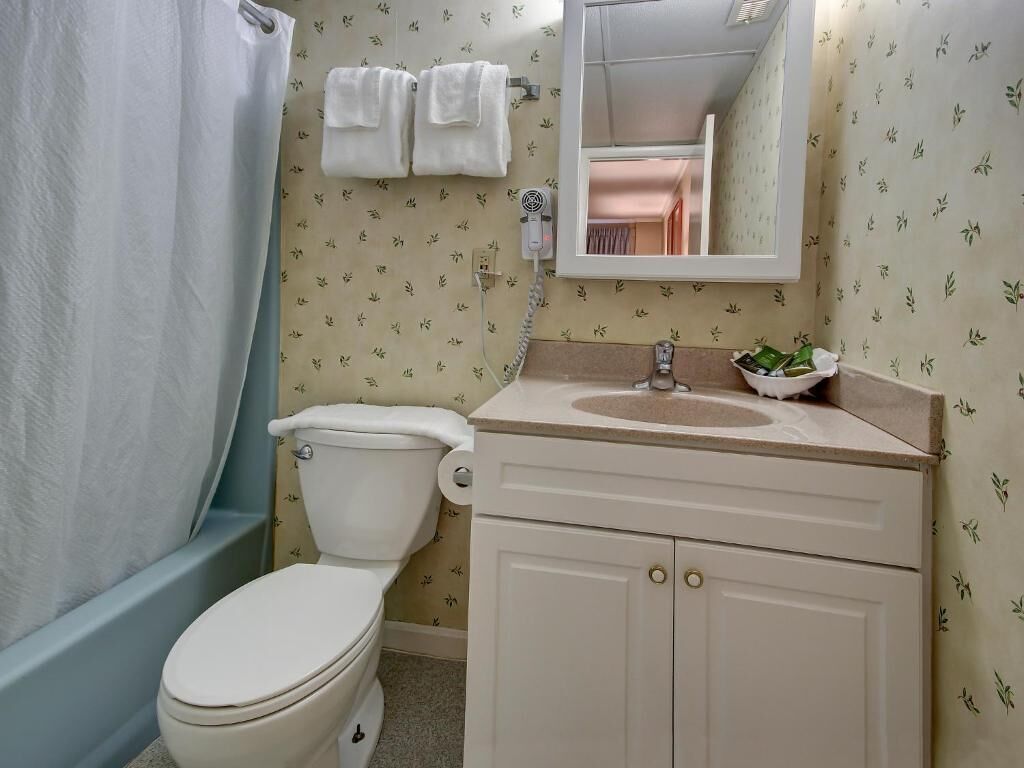 A bathroom with a toilet, sink, and shower curtain.