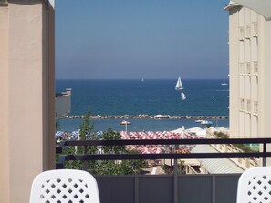 Vista da propriedade
