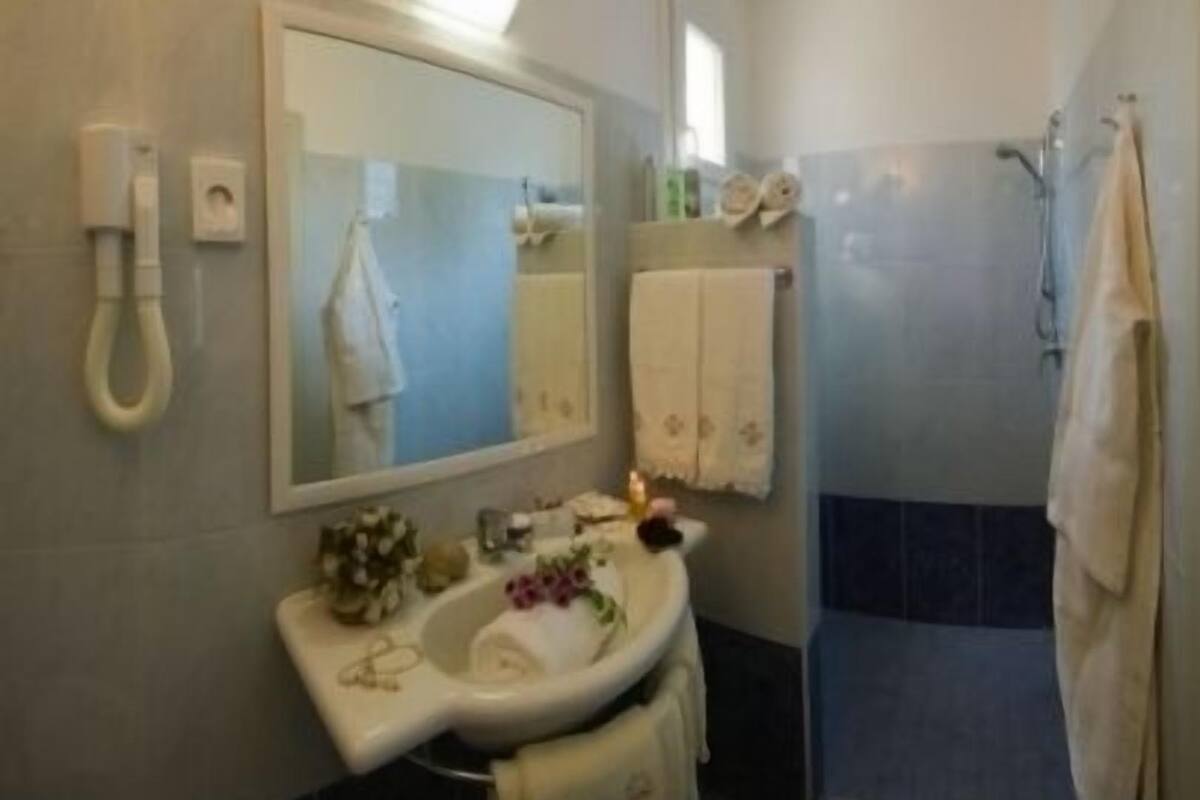 Shower, free toiletries, hair dryer, bidet