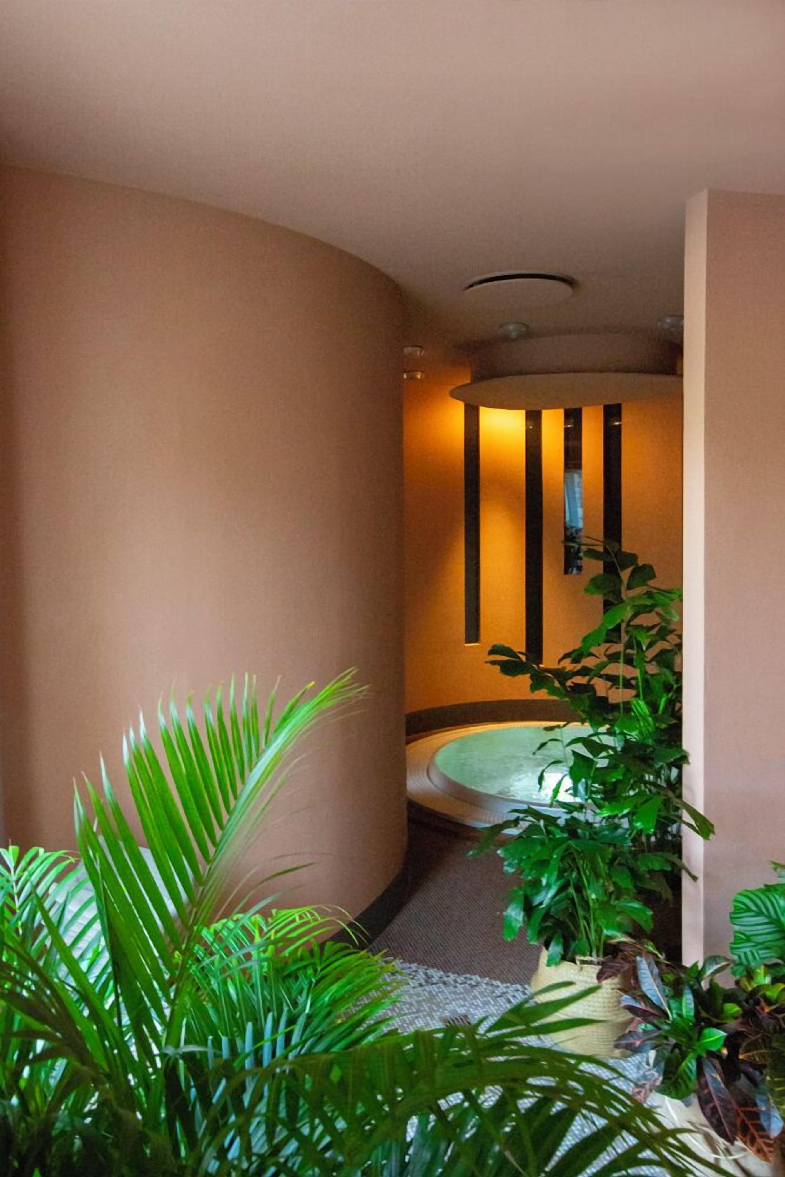 Bồn tắm spa trong nhà