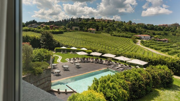 A pool area with lounge chairs and umbrellas, surrounded by lush greenery and vineyard rows. - Relais Villa D'Amelia (Benevello)