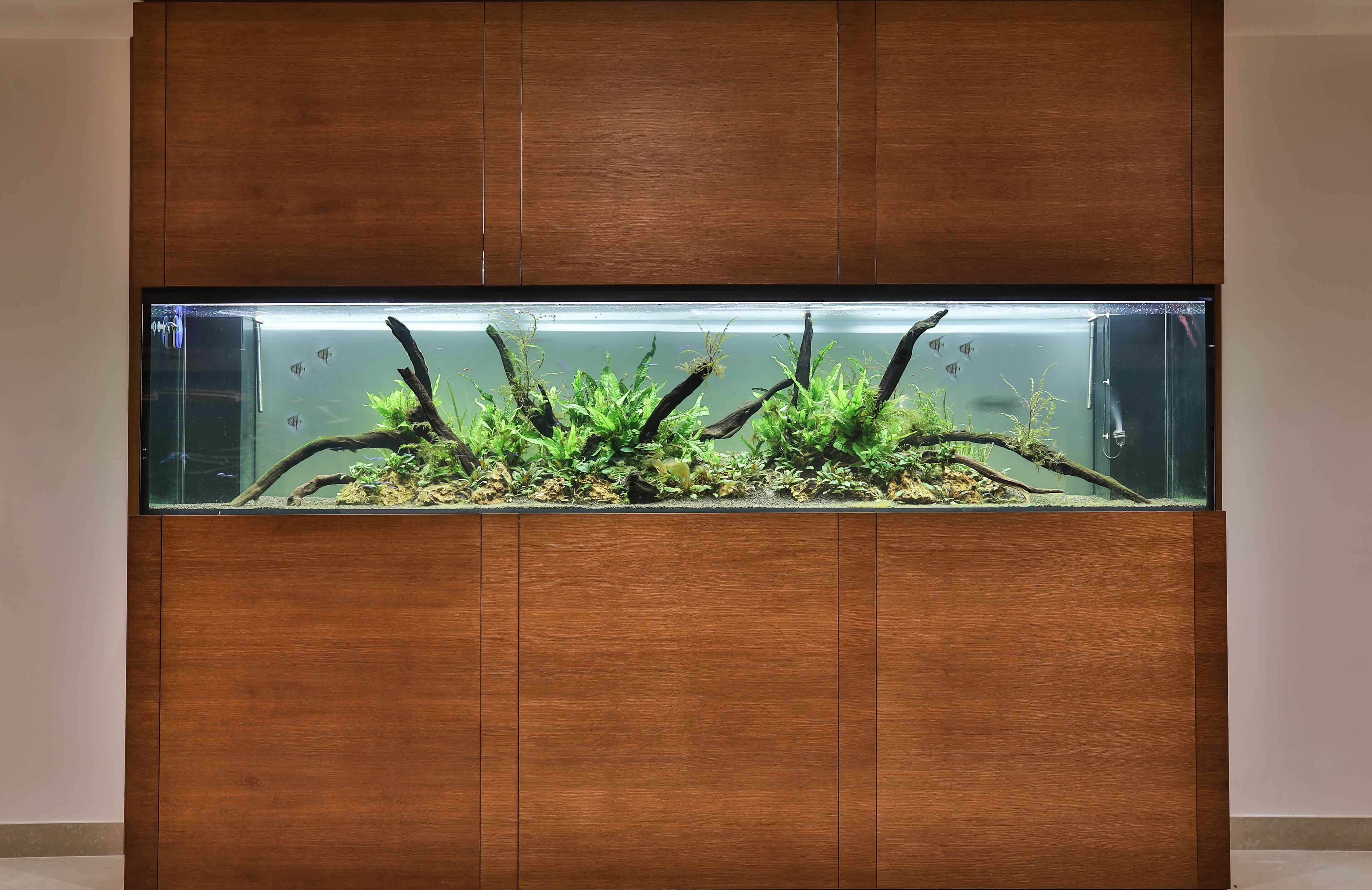 Photo - Hotel Hermitage