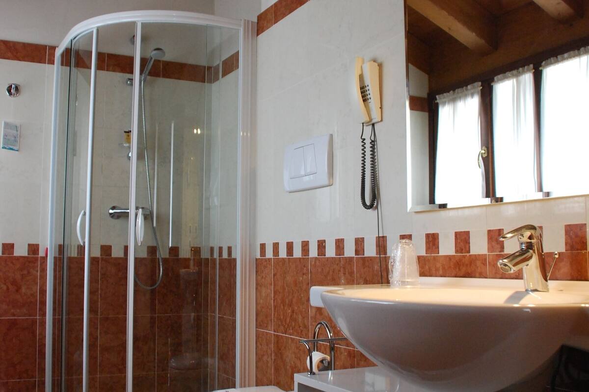 combined shower/bathtub, free toiletries, hair dryer, bidet