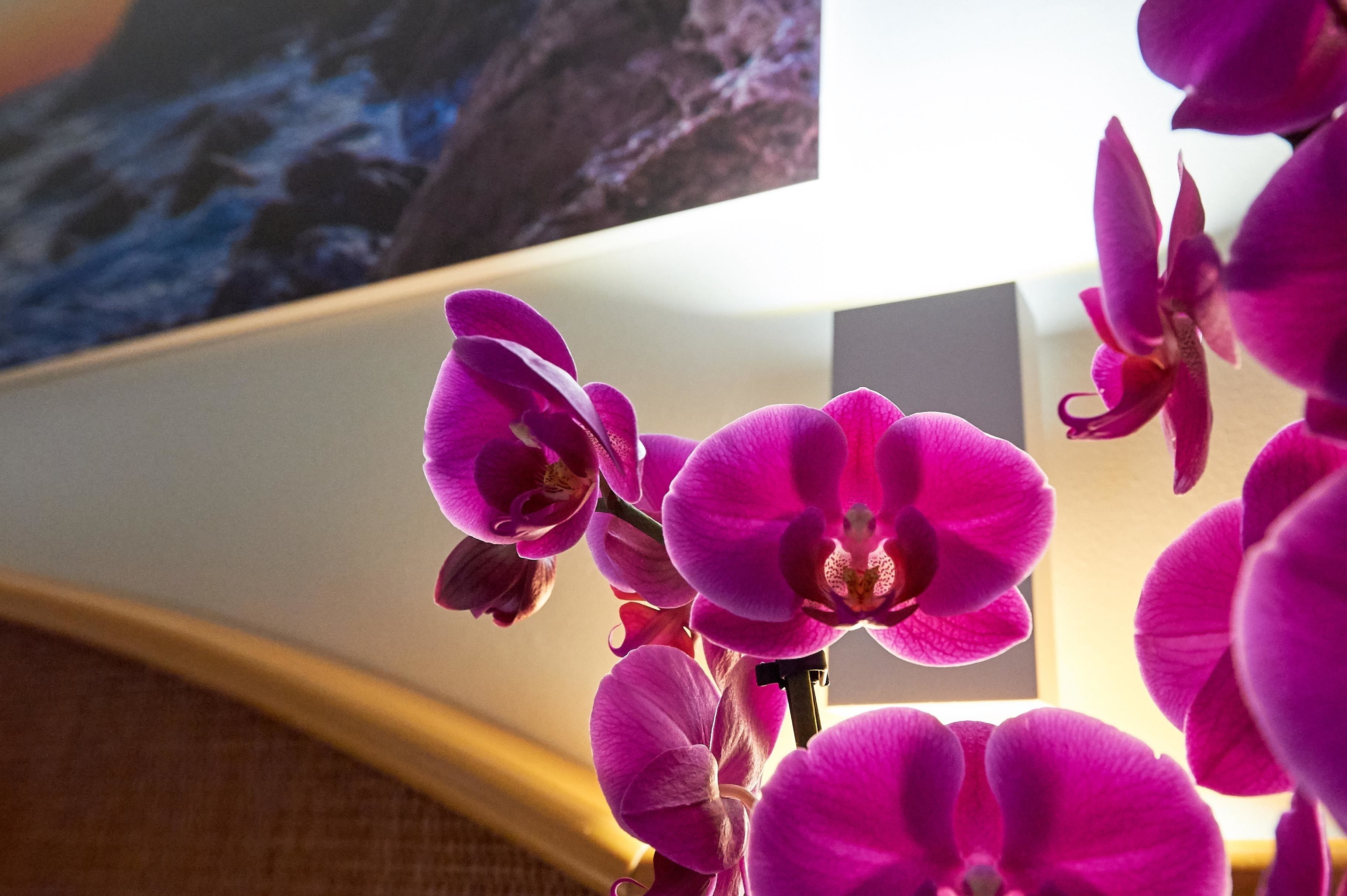 triple room | view from room