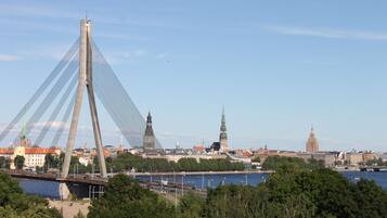 Een kabelbrug met een helder uitzicht op de stadshemel op de achtergrond.