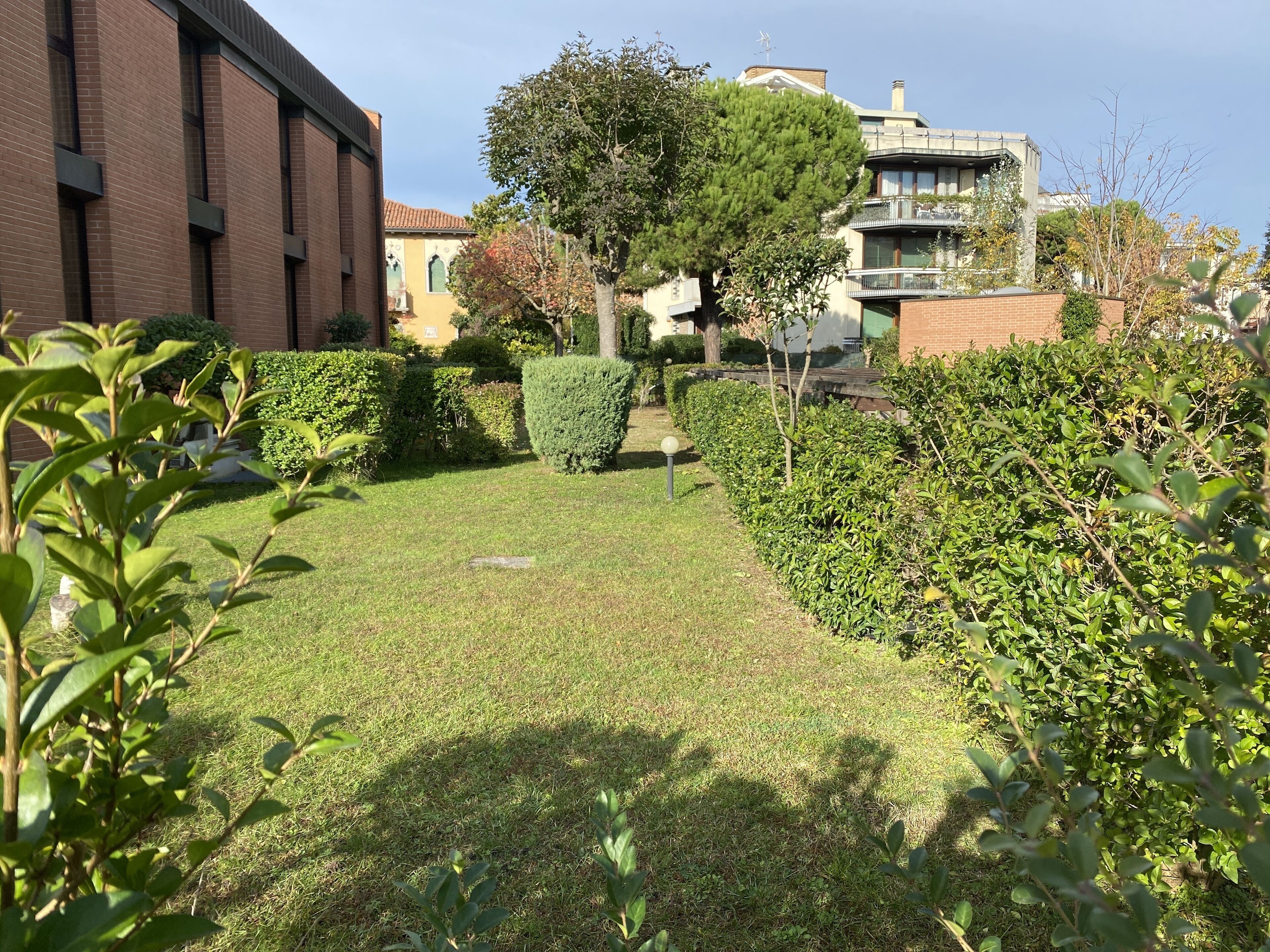 Um jardim bem cuidado, com diversos arbustos e um gramado aparado.