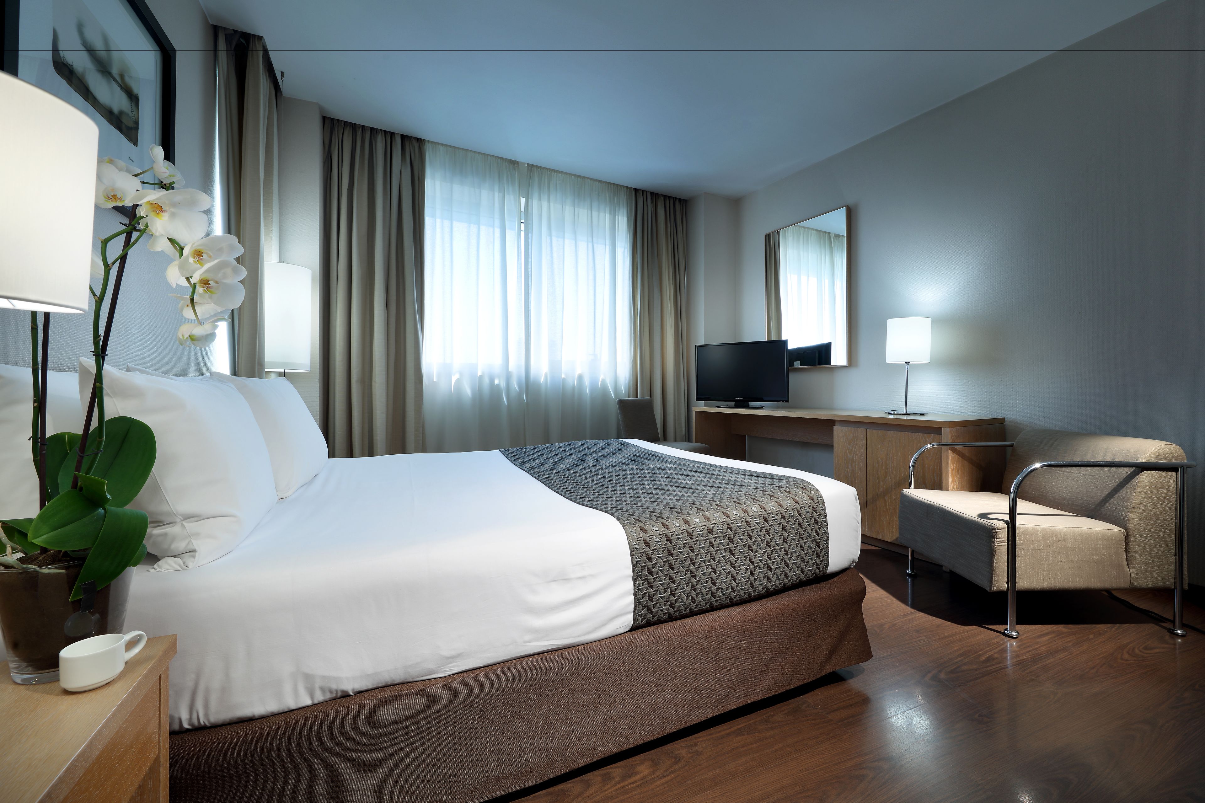 Habitación de hotel con una cama grande, un escritorio con televisor, una silla y una planta en maceta.