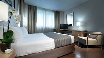 Habitación de hotel con una cama grande, un escritorio con televisor, una silla y una planta en maceta.