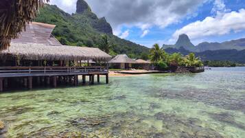 A thatched-roof overwater bungalow with a wooden deck, clear turquoise water, and lush greenery in the background.