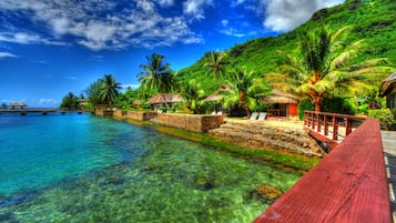 Vista desde la propiedad