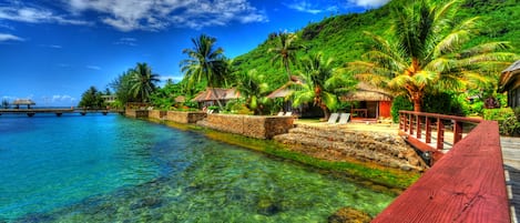 Vista desde la propiedad