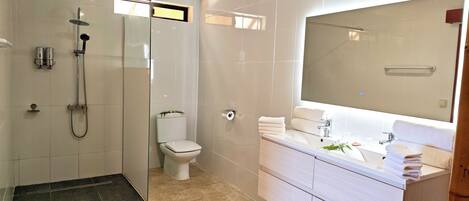 A modern bathroom with a walk-in shower, toilet, and vanity with a large mirror.