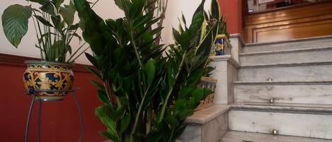 Una escalera con escalones de mármol y una planta en maceta con hojas verdes.