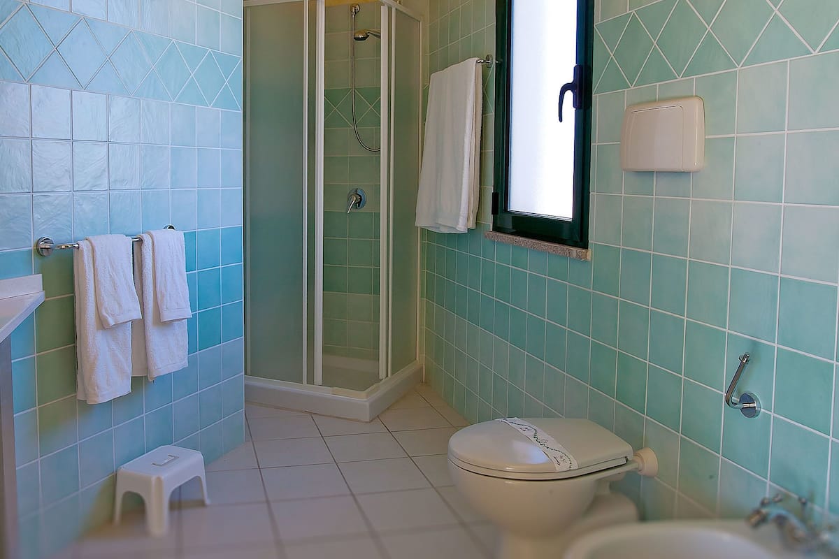 shower, free toiletries, bidet, towels