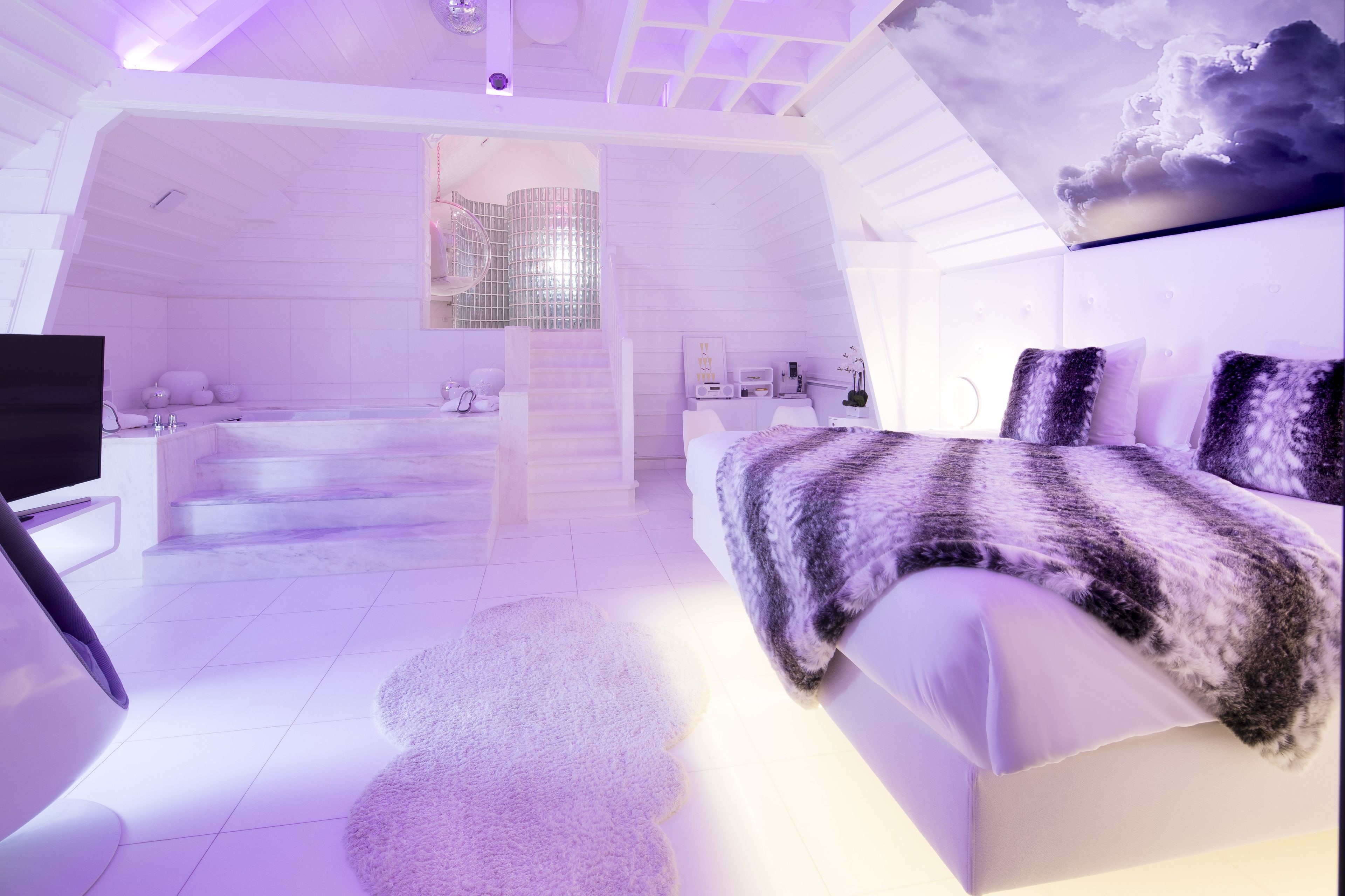 Una camera da letto moderna con un letto grande, una televisione e un bagno con vasca e doccia.