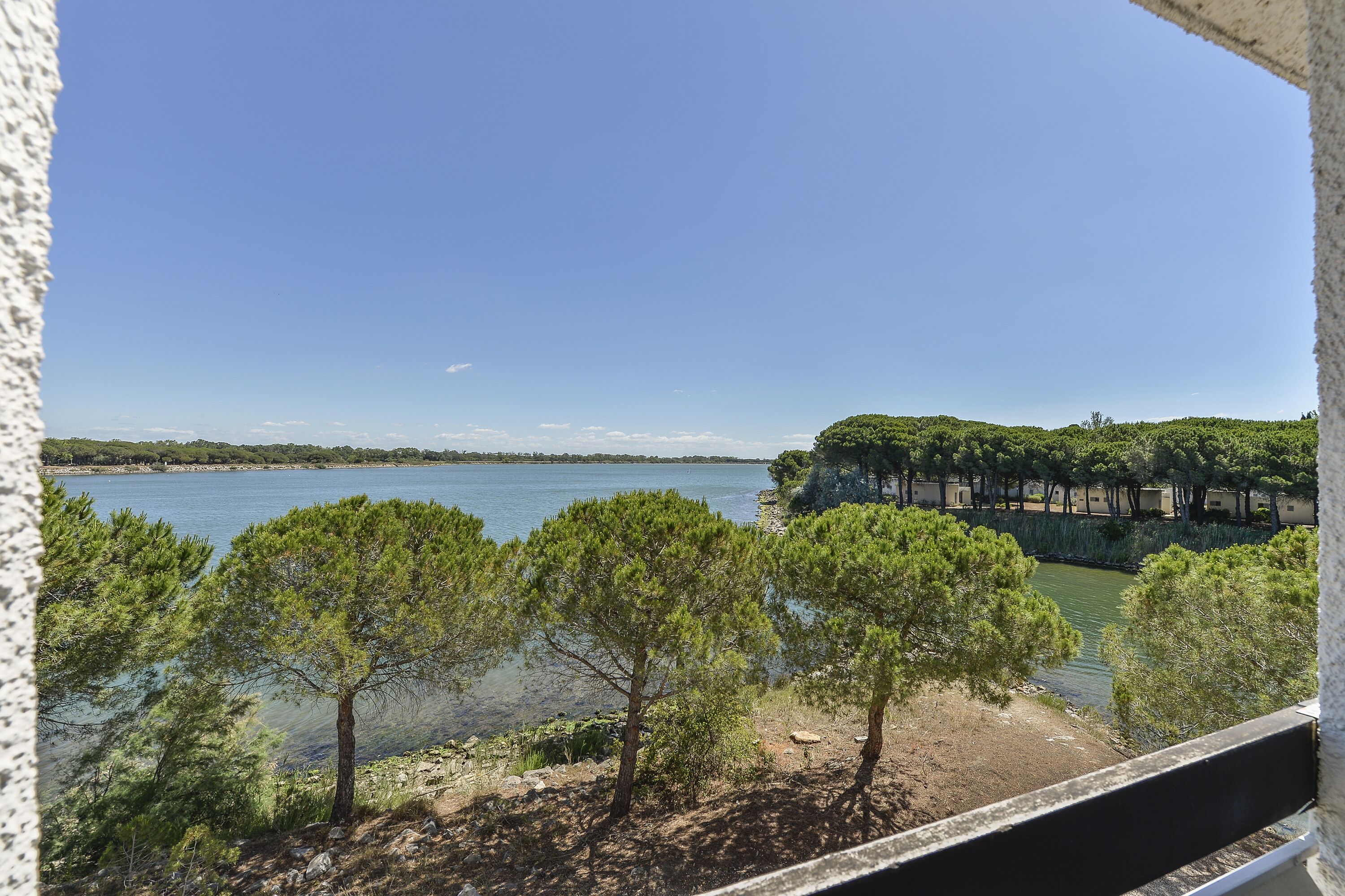 Une vue sur un lac, avec des arbres et une rive éloignée.