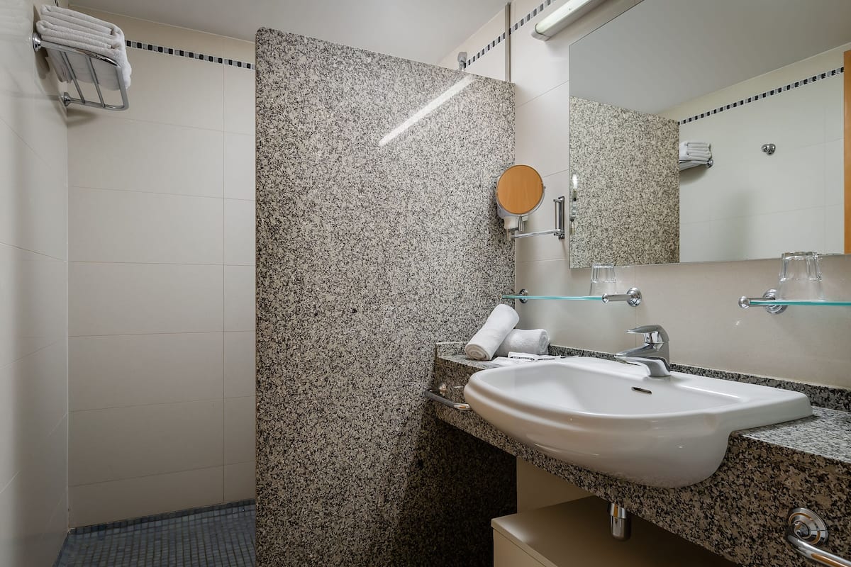 shower, free toiletries, hair dryer, bidet