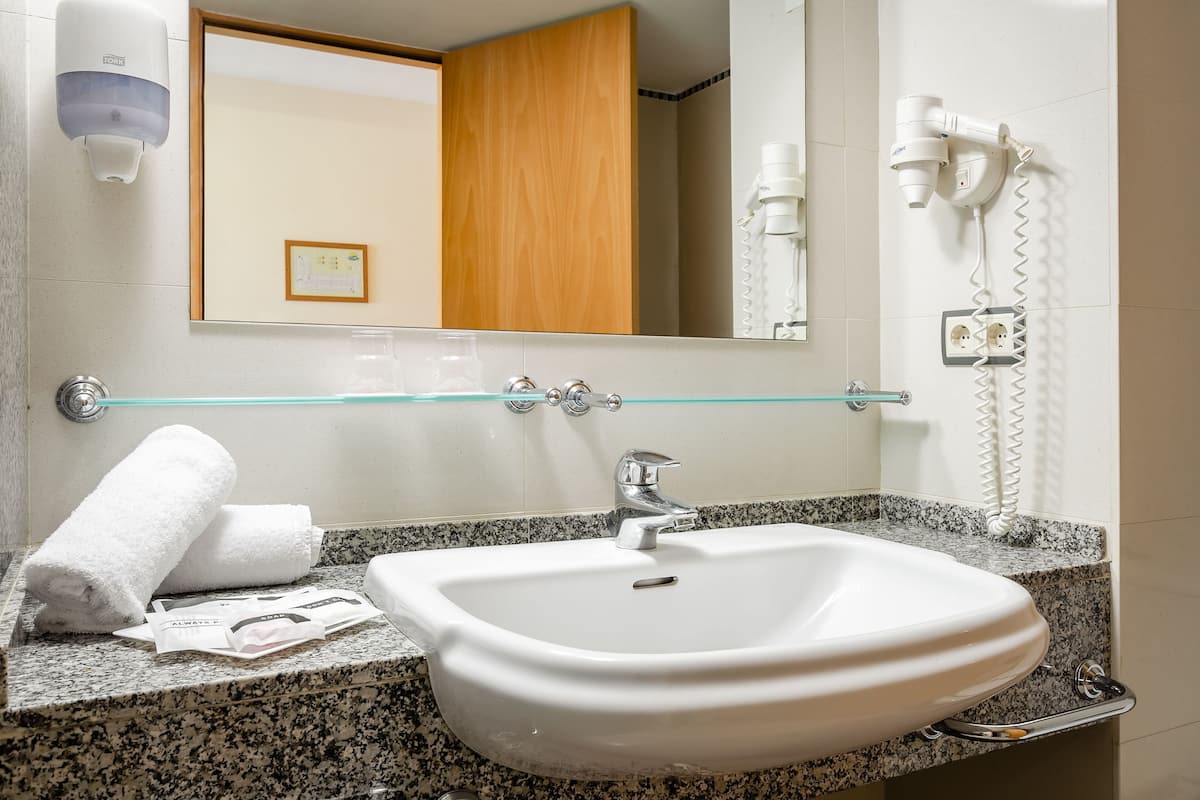 shower, free toiletries, hair dryer, bidet