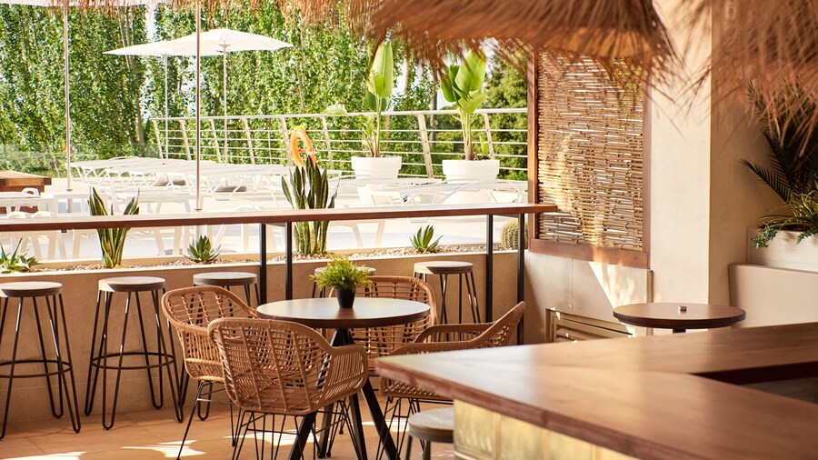 DWO Sirius -Adults Only