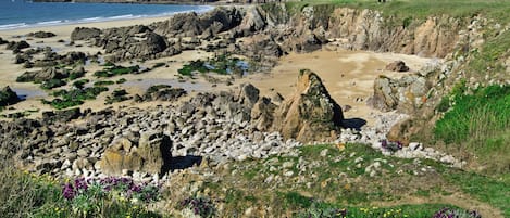 Vlak bij het strand