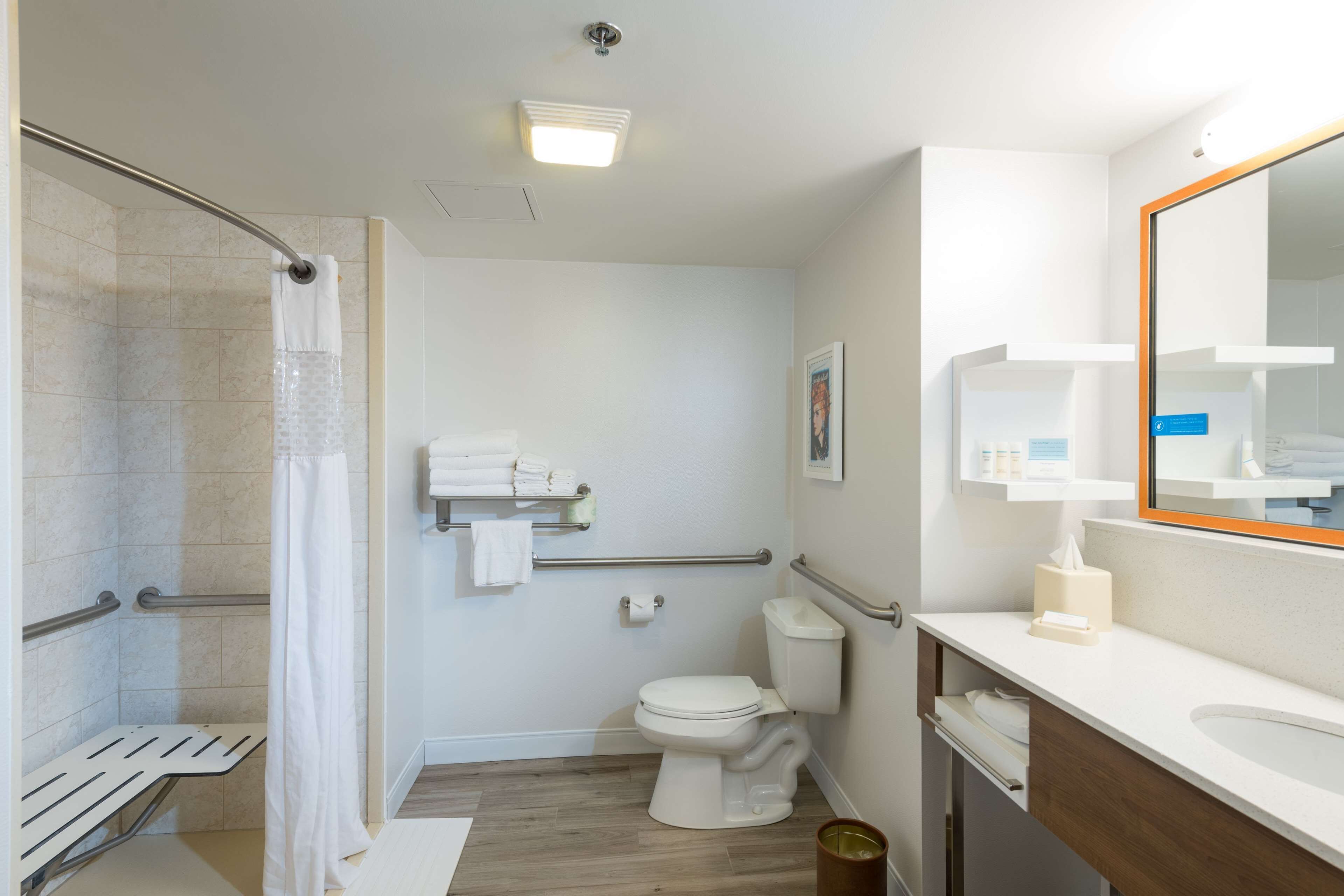 room, accessible, non smoking | bathroom shower