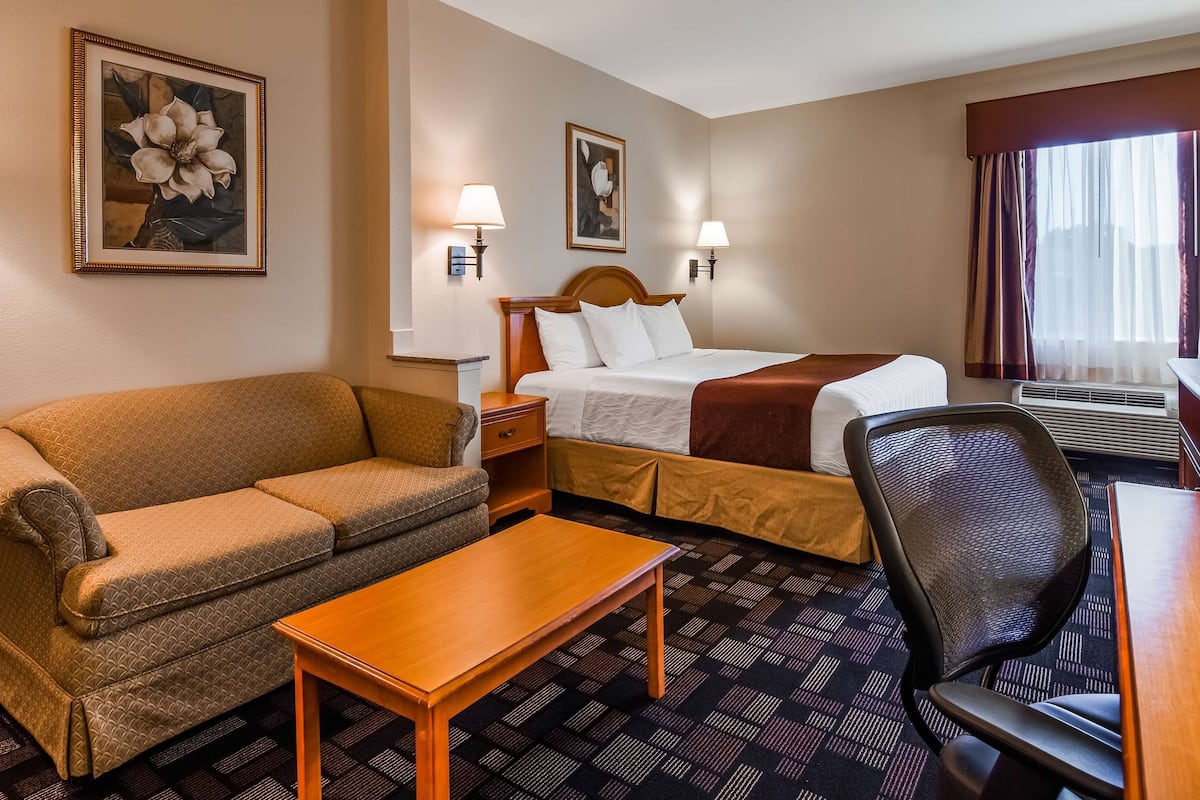 A hotel room with a sofa, a bed, a desk, and a chair.