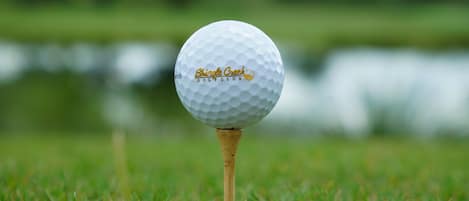 A golf ball on a tee in a grassy area with a water body in the background.