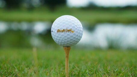 Rosen Shingle Creek - Image 81