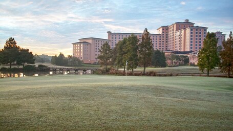 Rosen Shingle Creek - Image 23