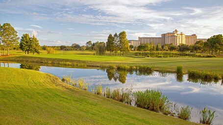 Rosen Shingle Creek - Image 34