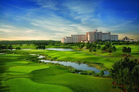 Rosen Shingle Creek - Image 12