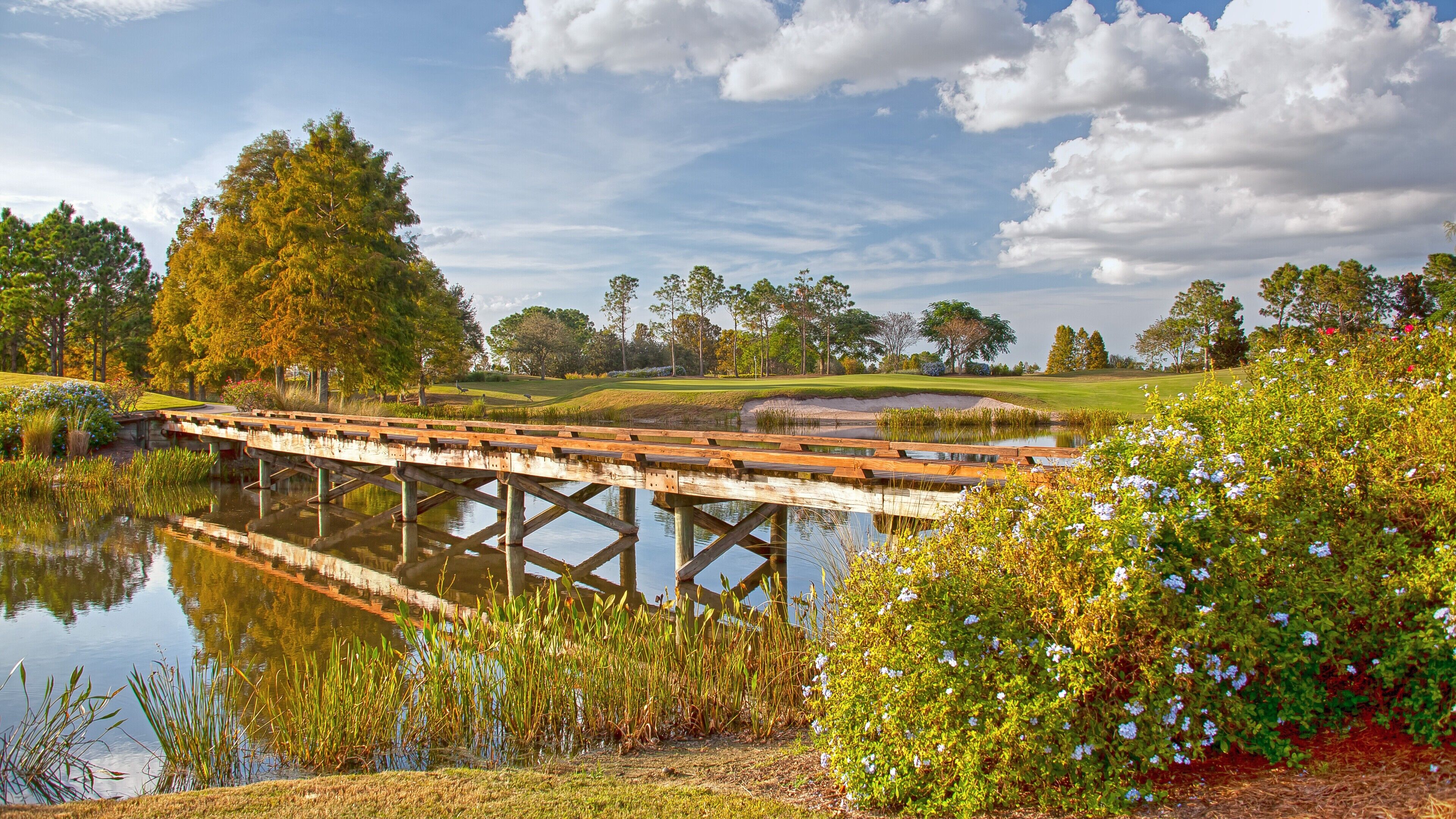 A wooden bridge over a calm pond, surrounded by lush greenery and trees.