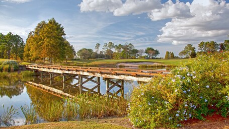 Rosen Shingle Creek - Image 40
