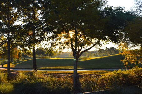 Rosen Shingle Creek - Image 20