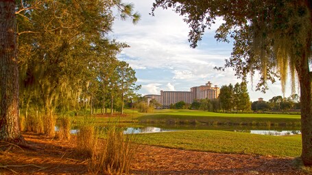 Rosen Shingle Creek - Image 67