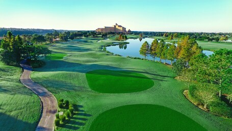 Rosen Shingle Creek - Image 4
