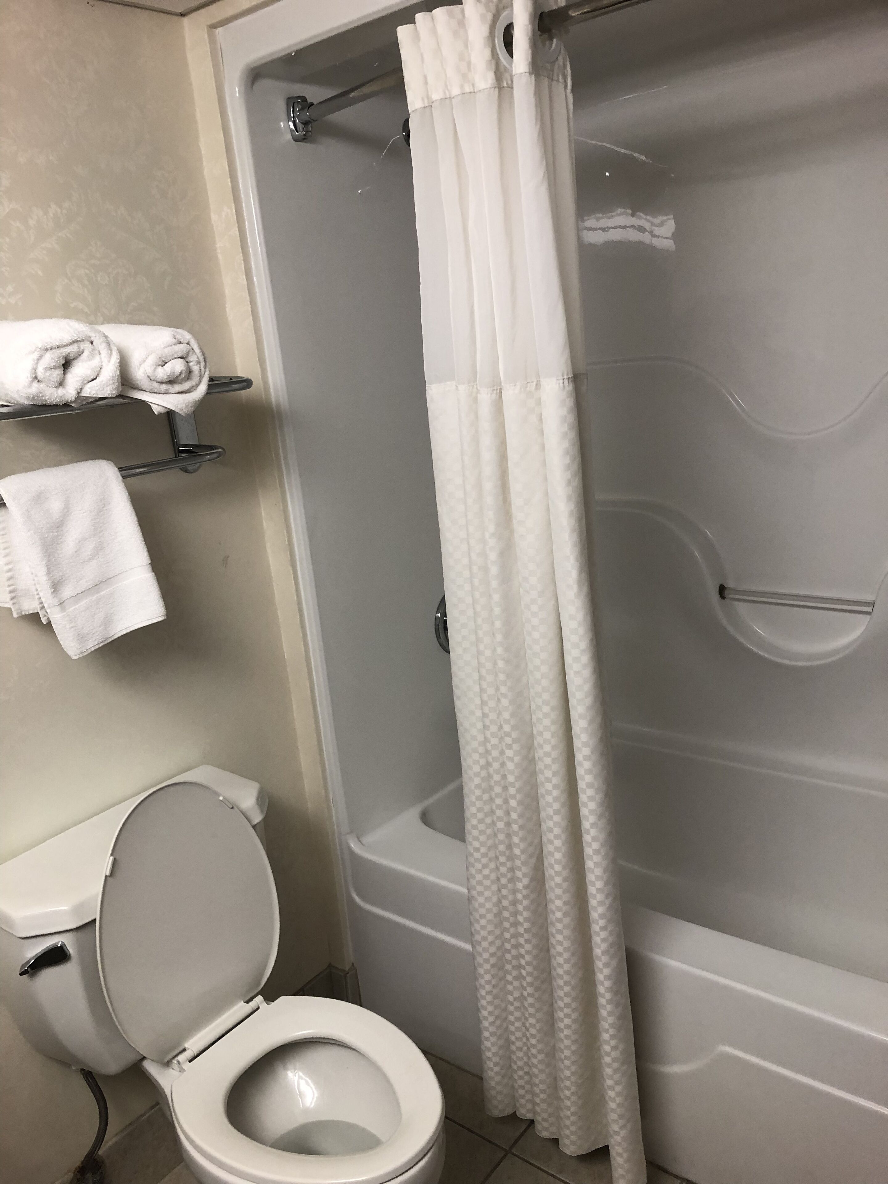 Un baño con inodoro, ducha con cortina a cuadros y un perchero con toallas dobladas.