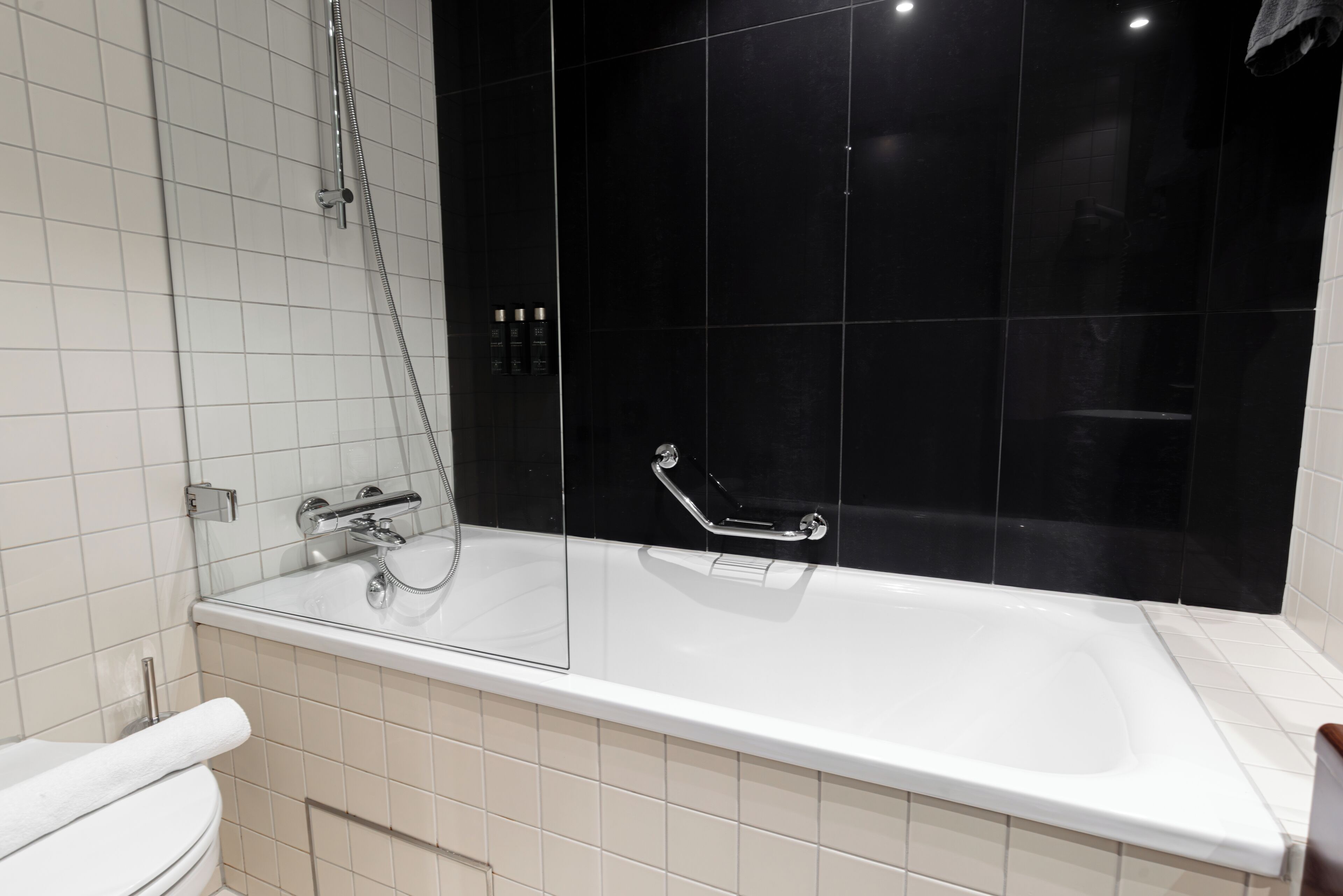 A modern bathroom with a glass-enclosed bathtub, a toilet, and a shower area.
