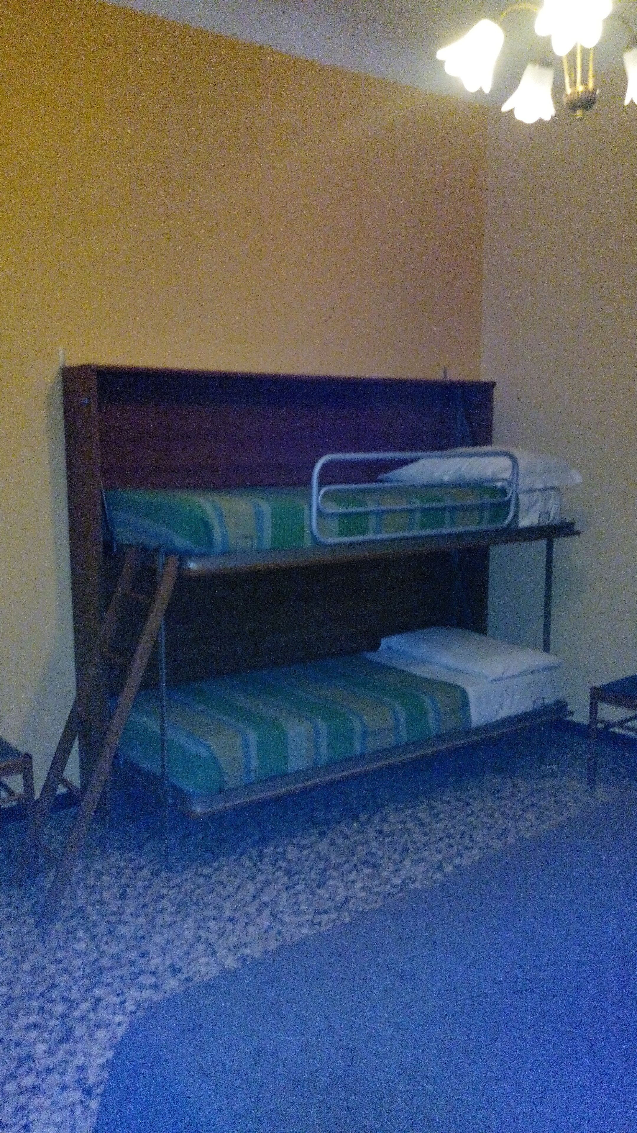 A bunk bed in a room with a carpeted floor and a ceiling fan.