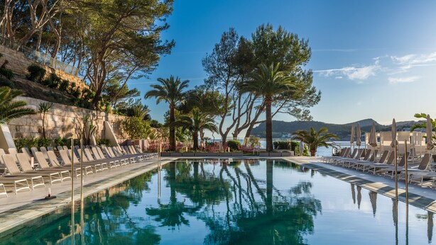 Una piscina con sillas de descanso, palmeras y un muro de piedra.