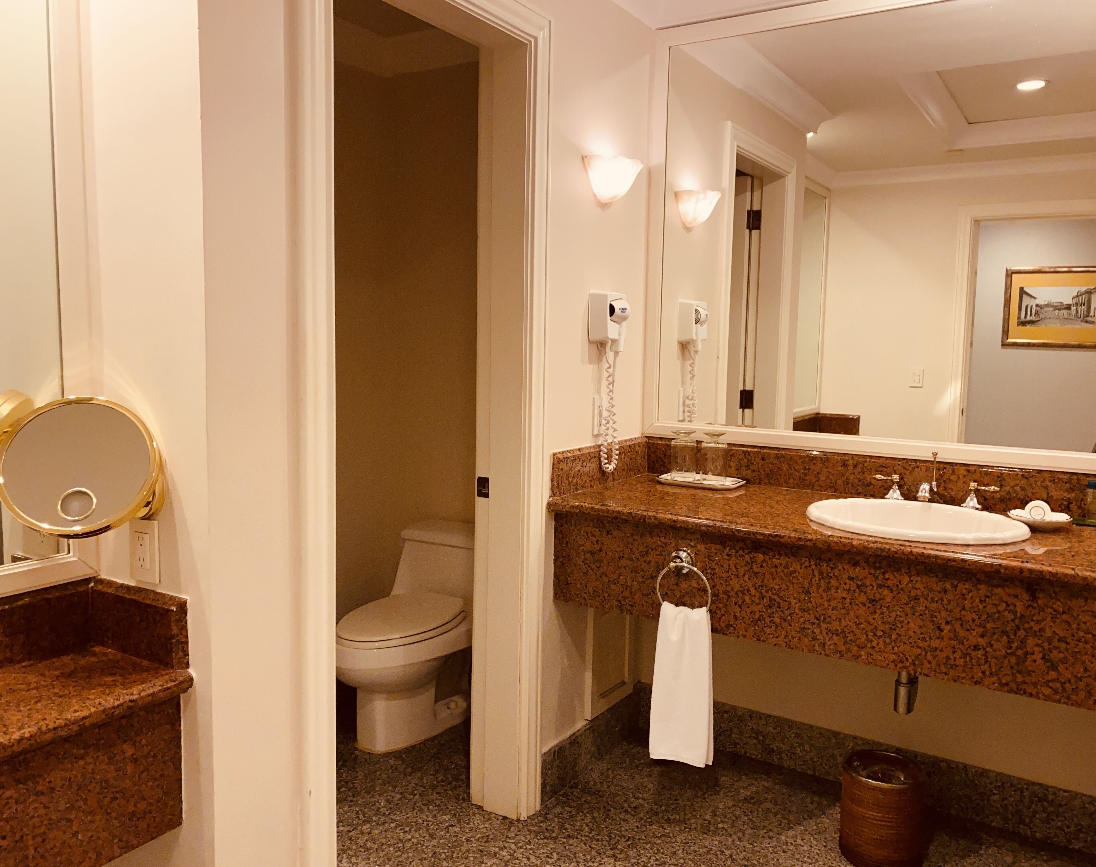 hair dryer, towels, soap, shampoo