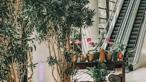 A spacious indoor area with a modern staircase, potted plants, and a wooden table. - Mercure São Paulo Grand Plaza Paulista (São Paulo)