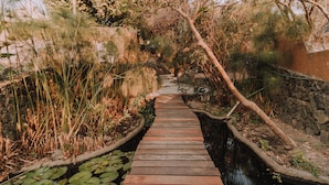 Un sendero de madera que atraviesa un jardín con nenúfares y diversas plantas.