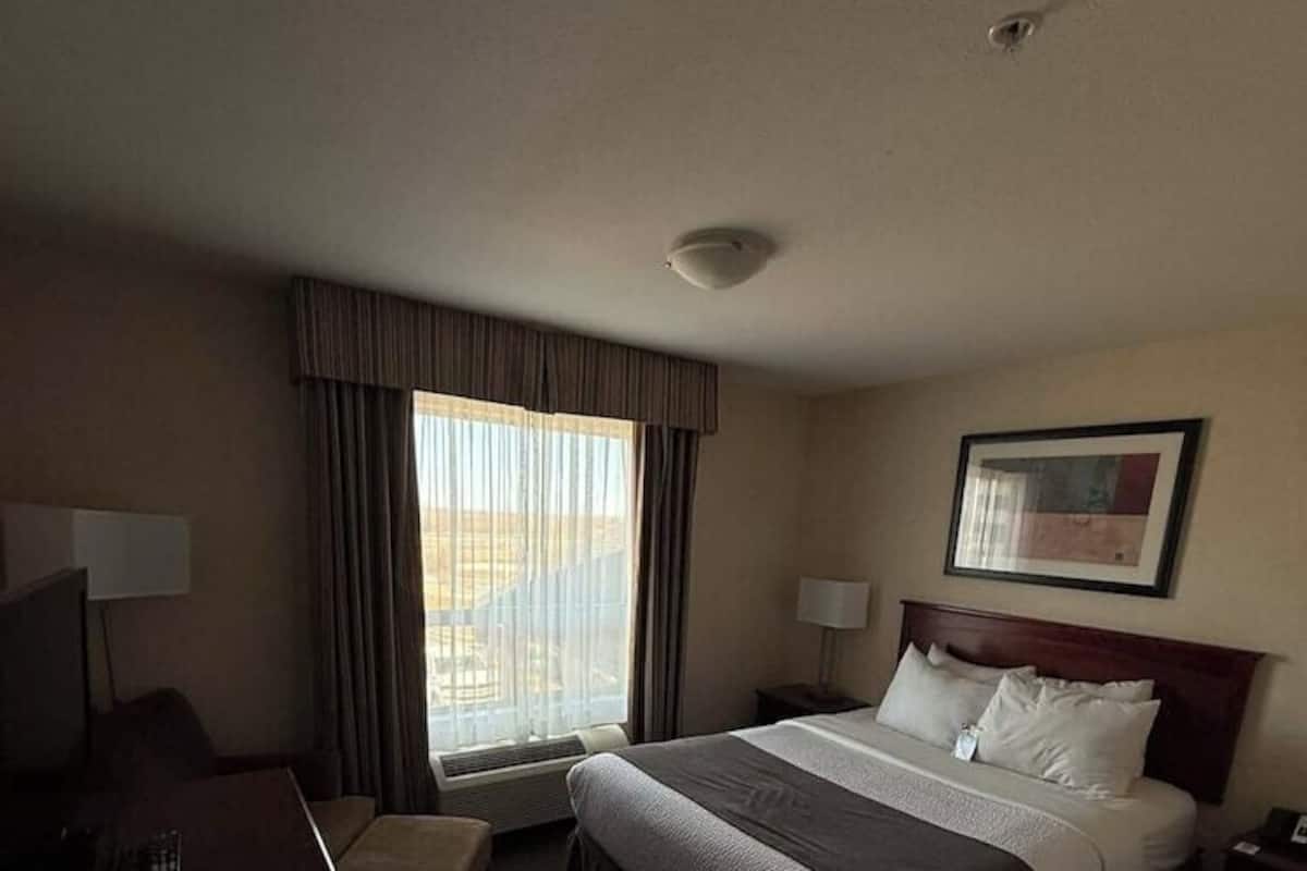 Iron/ironing board, free WiFi, bed sheets, wheelchair access