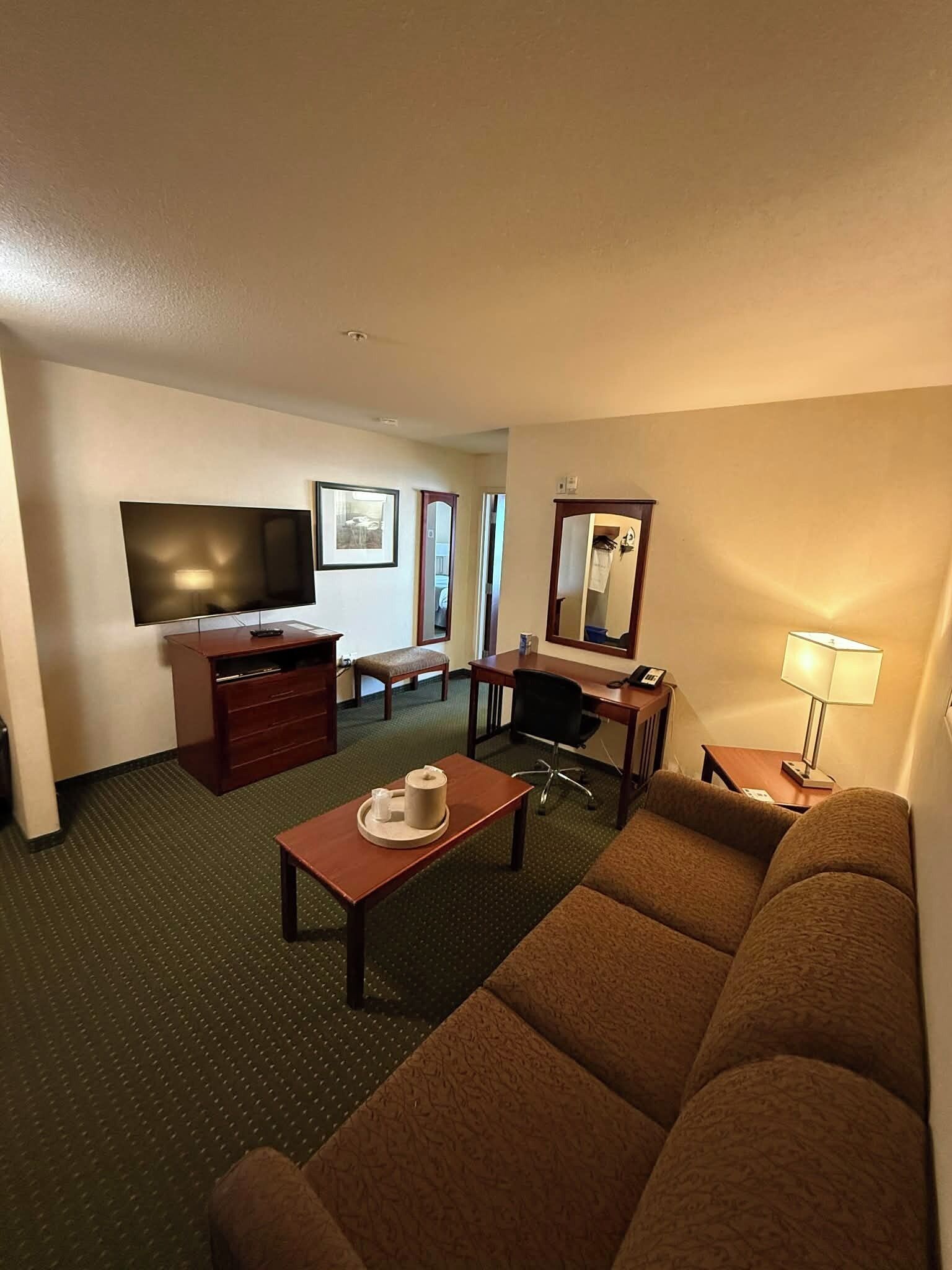 Suite ejecutiva, 1 cama de matrimonio con sofá cama | Zona de estar | Un reproductor de DVD