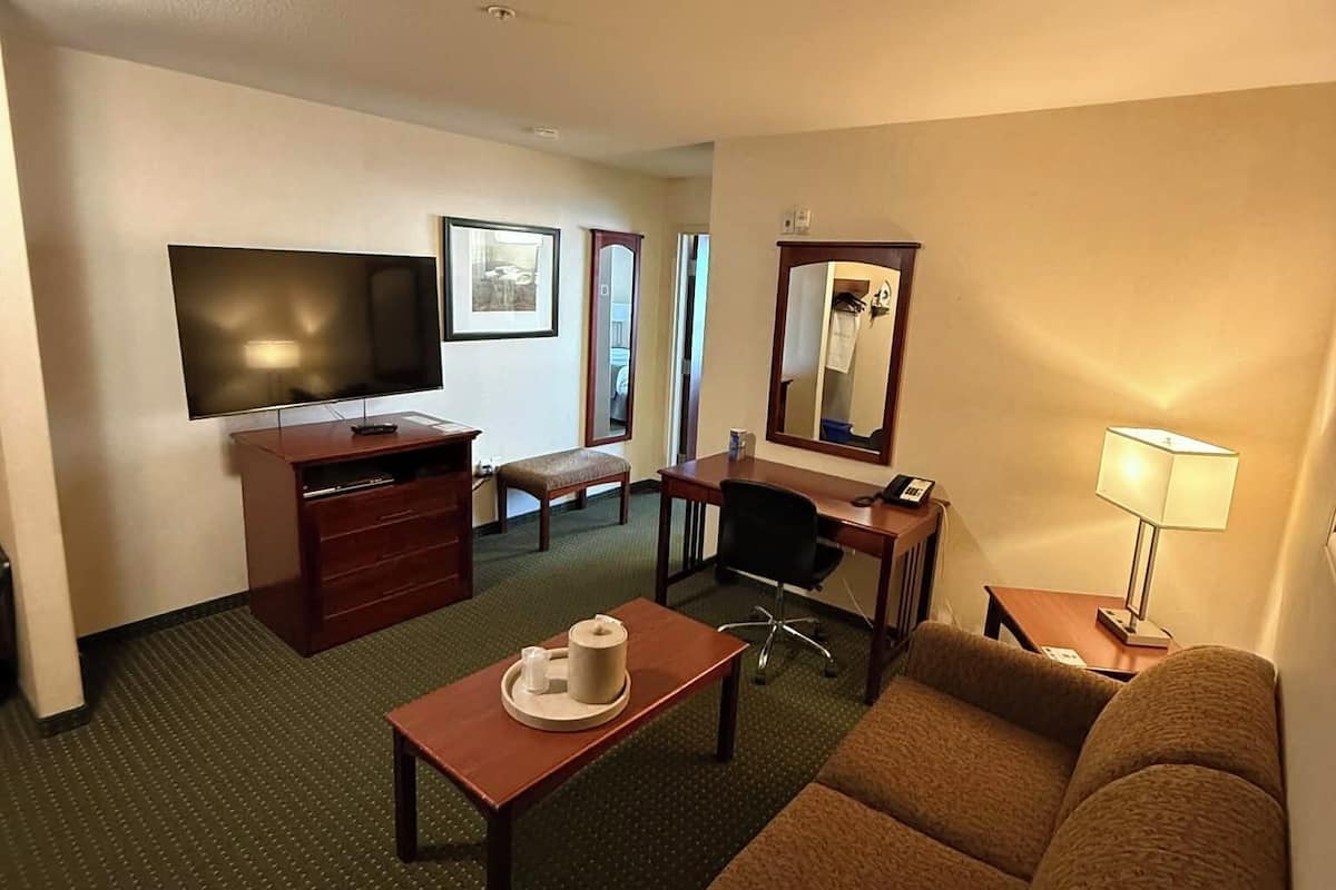 Suite ejecutiva, 1 cama Queen size y sofá cama | Área de sala de estar | Reproductor de DVD