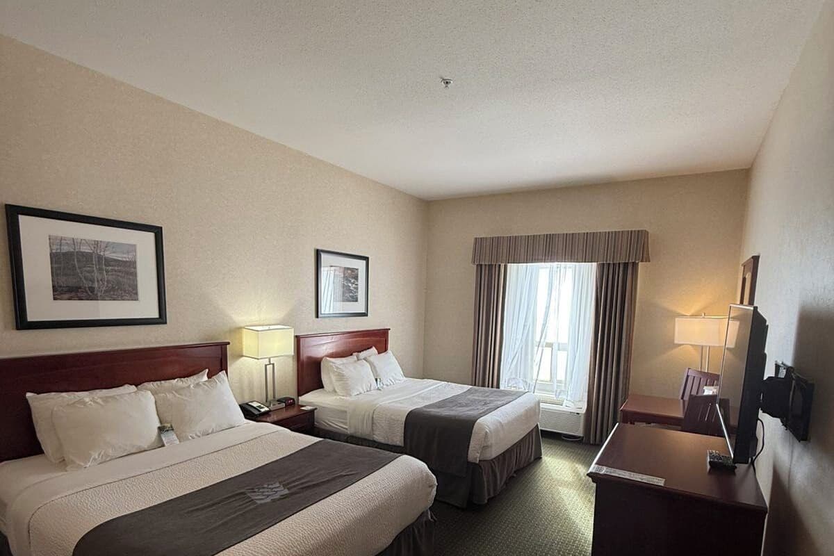 华丽客房, 2 张大床 | 办公桌、熨斗/熨衣板、折叠床/加床(额外收费)、免费 WiFi